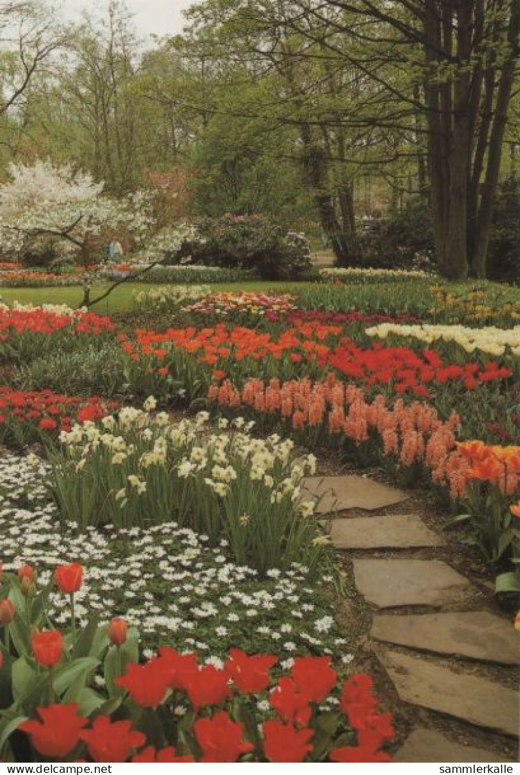 66126 - Niederlande - Lisse - Keukenhof - Ca. 1980 - Lisse