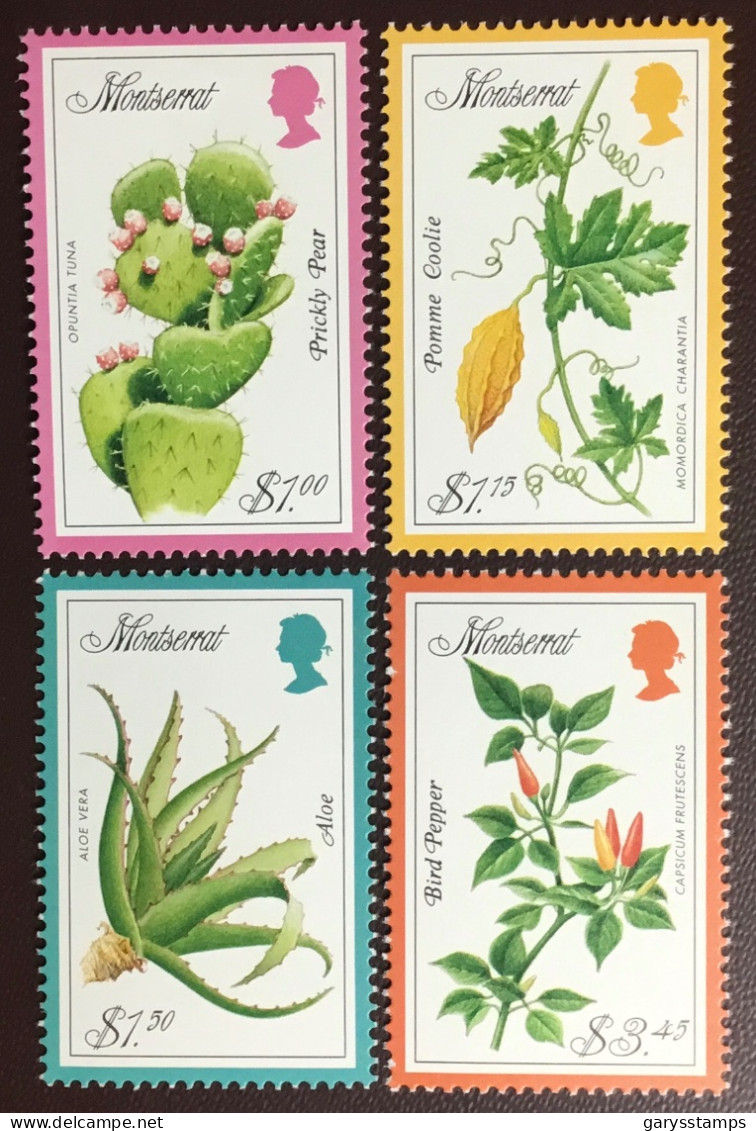 Montserrat 1998 Medicinal Plants Cacti MNH - Medicinal Plants