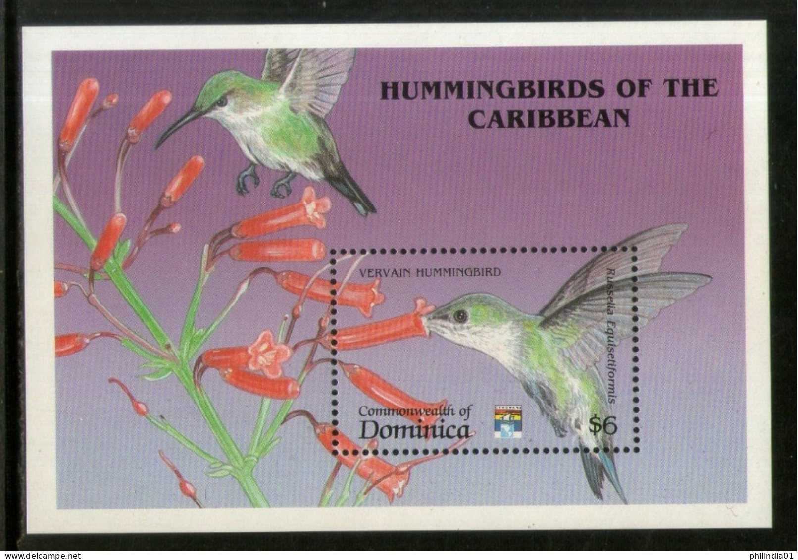 Dominica 1992 Vervain Humming Birds Wildlife Sc 1467 M/s MNH # 5987 - Colibrì