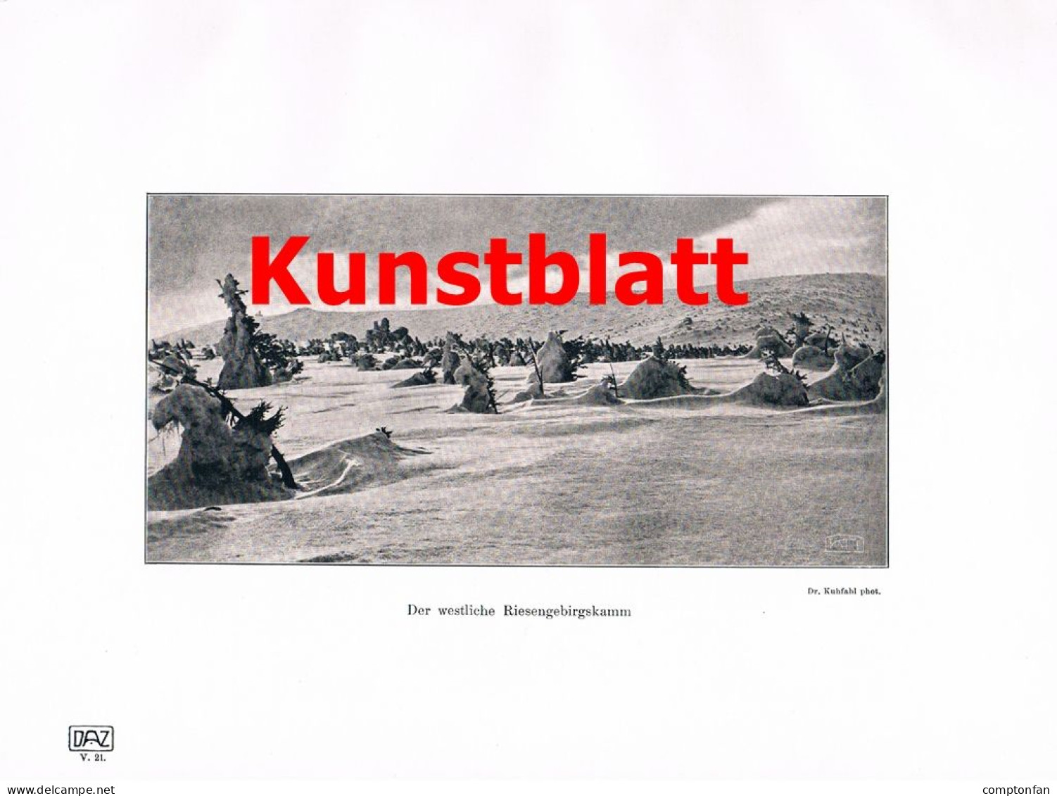 A102 1436 Kuhfahl Riesengebirge Schneegrube Schlesien Artikel 1905 - Otros & Sin Clasificación