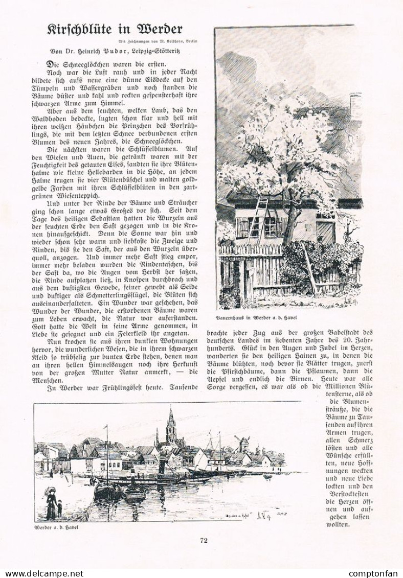 A102 1444-2 Heinrich Pudor Werder Havel Brandenburg Artikel 1908 - Altri & Non Classificati