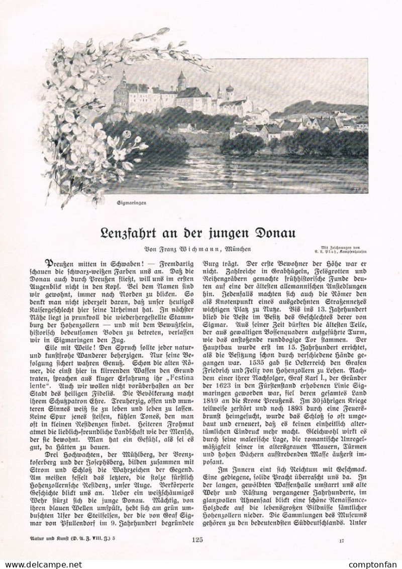 A102 1447-2 Wichmann Sigmaringen Schlösser Burgen Artikel 1908 - Autres & Non Classés