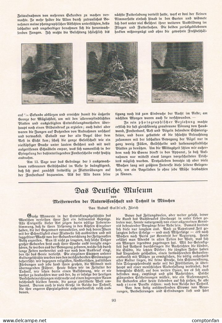 A102 1451-2 Rudolf Goldlust München Deutsche Museum Artikel 1908 - Autres & Non Classés