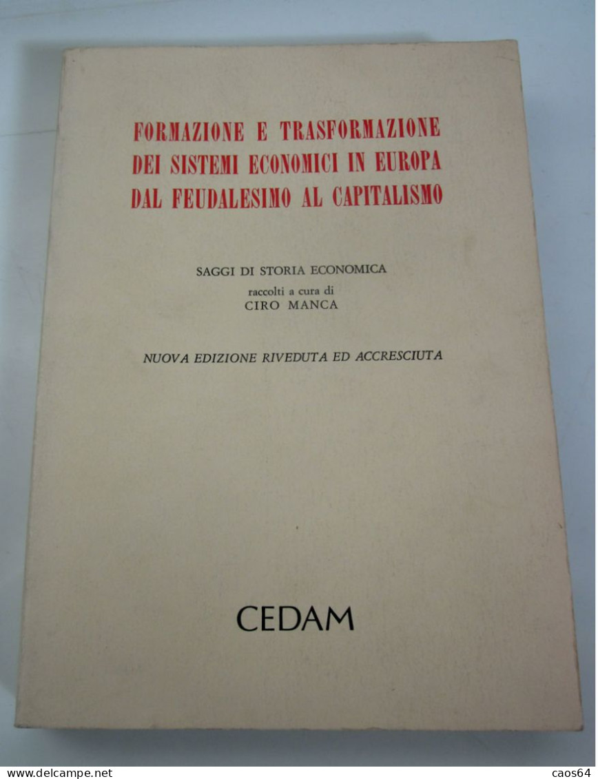 Formazione E Trasformazione Dei Sistemi Economici In Europa Dal Feudalesimo Al Capitalismo CEDAM 1995 - Rechten En Economie