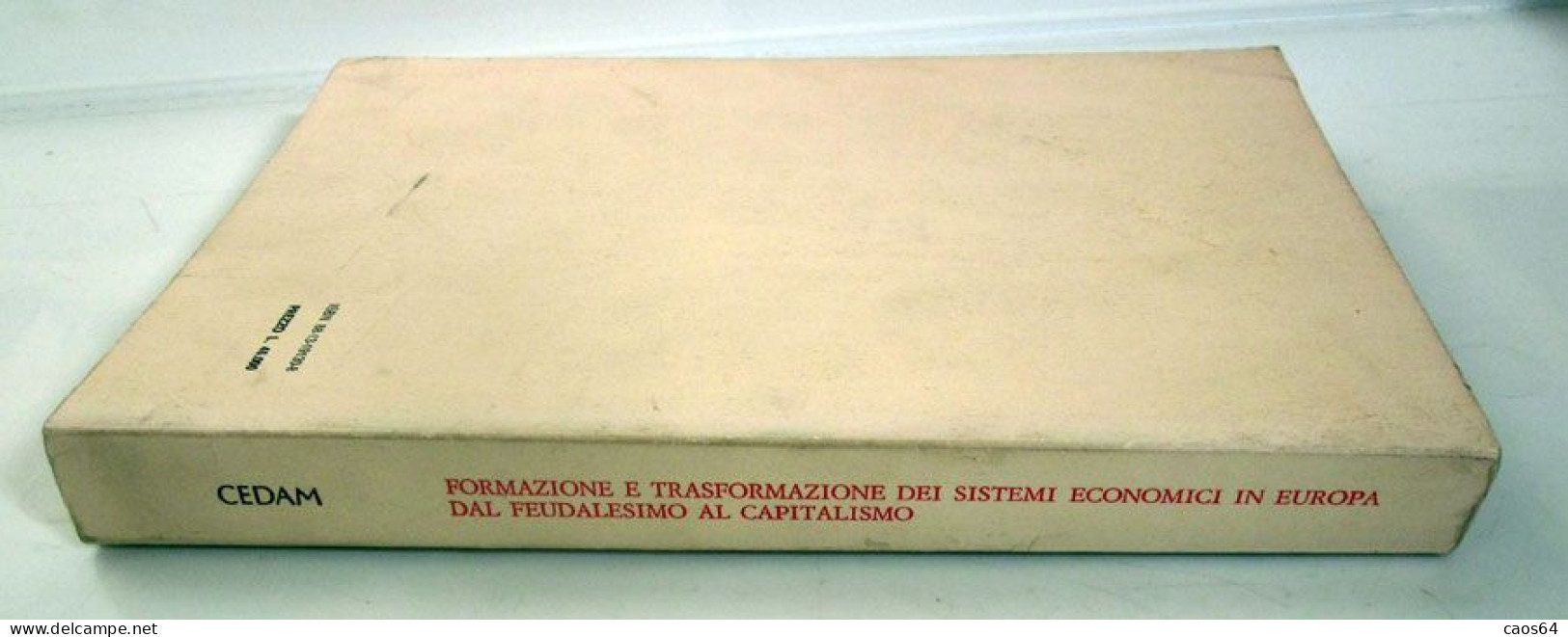 Formazione E Trasformazione Dei Sistemi Economici In Europa Dal Feudalesimo Al Capitalismo CEDAM 1995 - Diritto Ed Economia