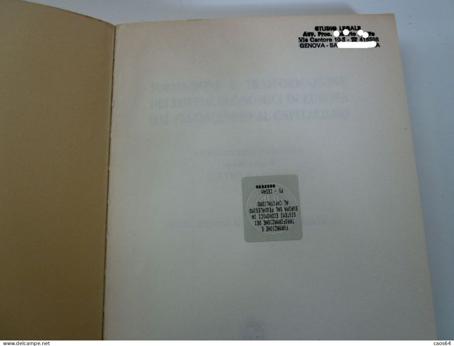 Formazione E Trasformazione Dei Sistemi Economici In Europa Dal Feudalesimo Al Capitalismo CEDAM 1995 - Diritto Ed Economia