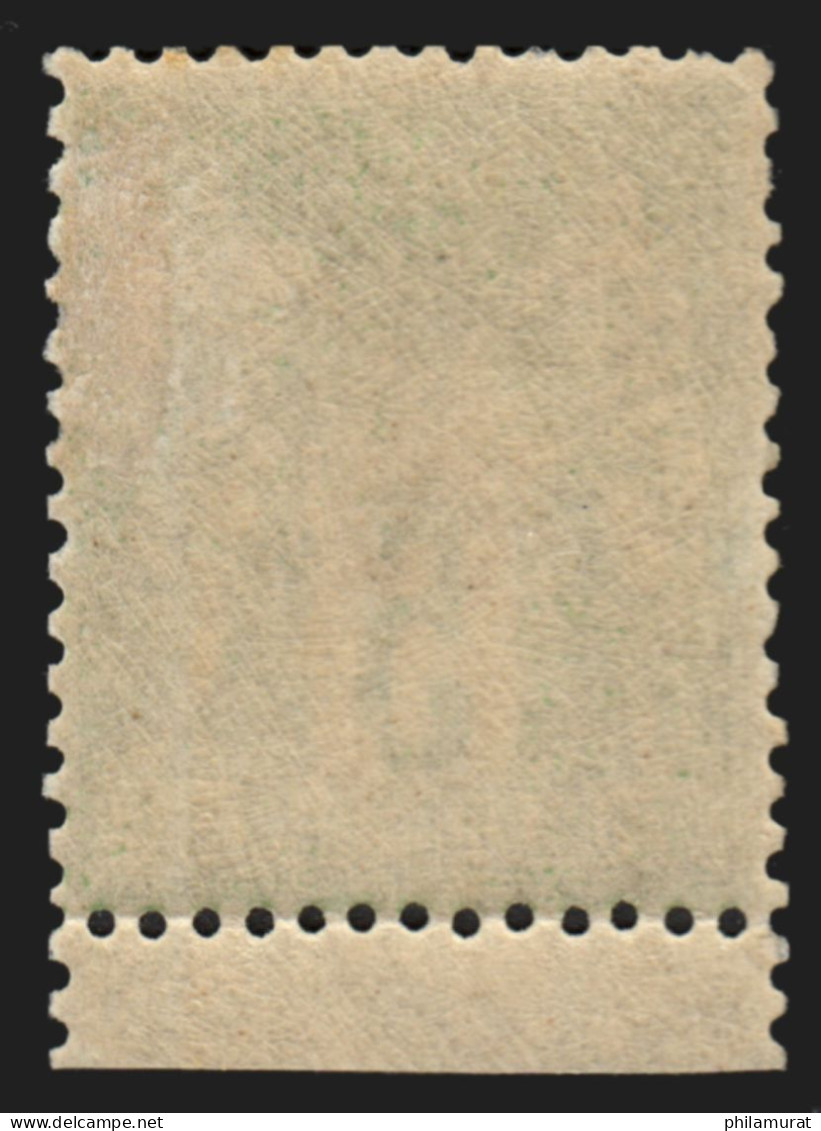 N°102, Petit Bord De Feuille, Sage 5c Vert-jaune (N Sous B), Neuf * - TB - 1898-1900 Sage (Type III)