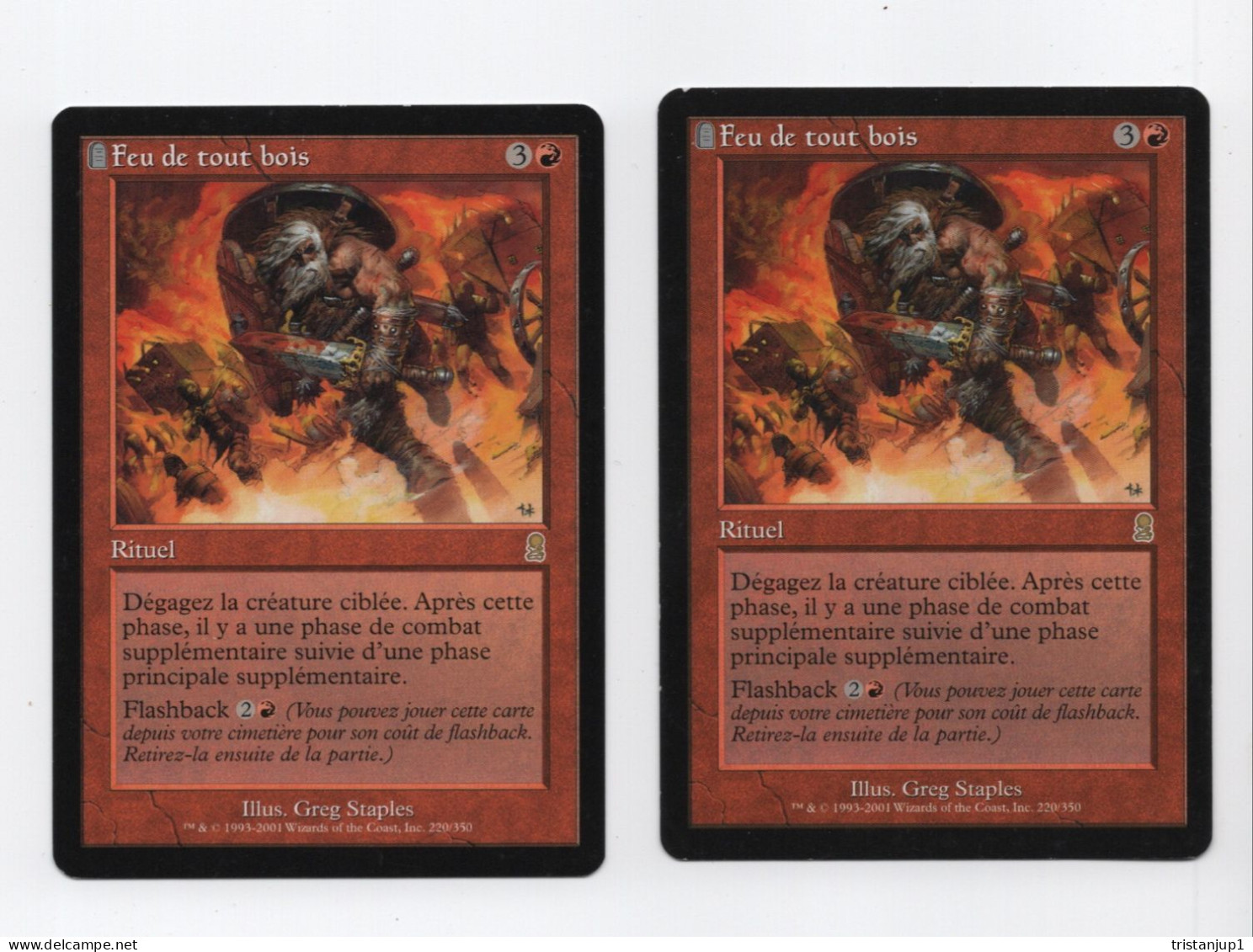 Lot 2 Feu De Tout Bois MTG Rare Odysee Magic The Gathering - Red Cards