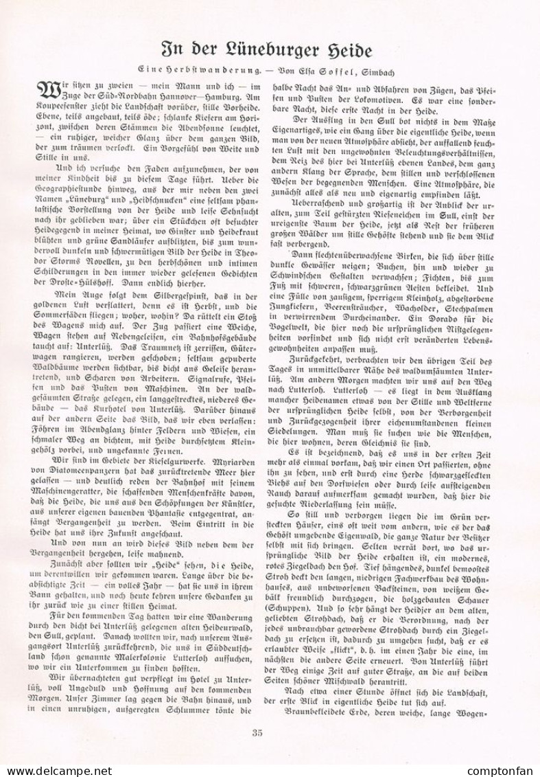 A102 1461 Elsa Soffel Lüneburger Heide Anne Poll Artikel 1908 - Altri & Non Classificati