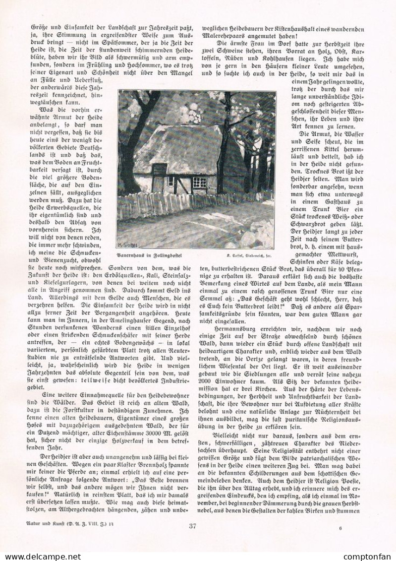 A102 1461 Elsa Soffel Lüneburger Heide Anne Poll Artikel 1908 - Autres & Non Classés