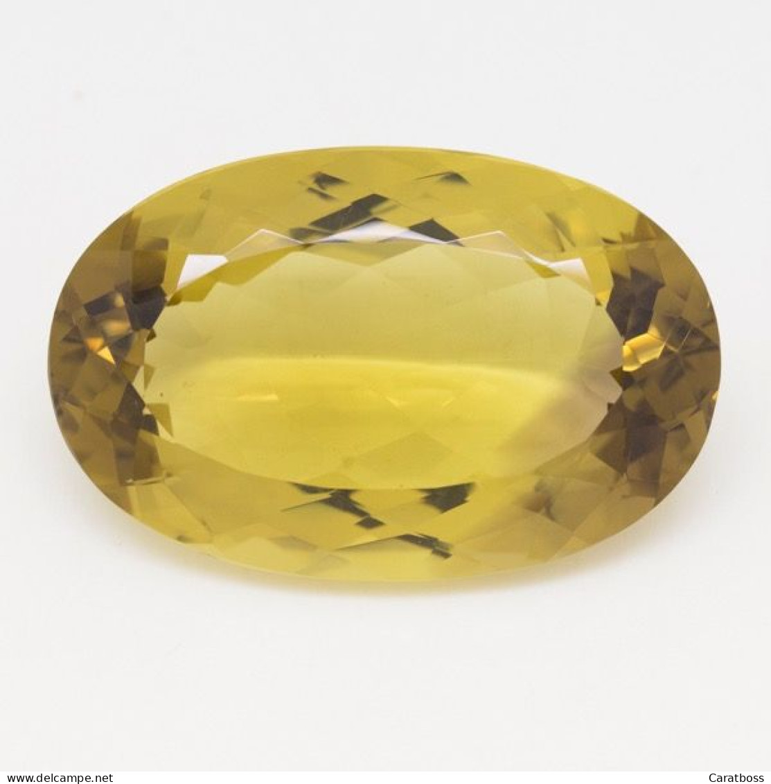 Citrine 195,35 Carats - Autres & Non Classés