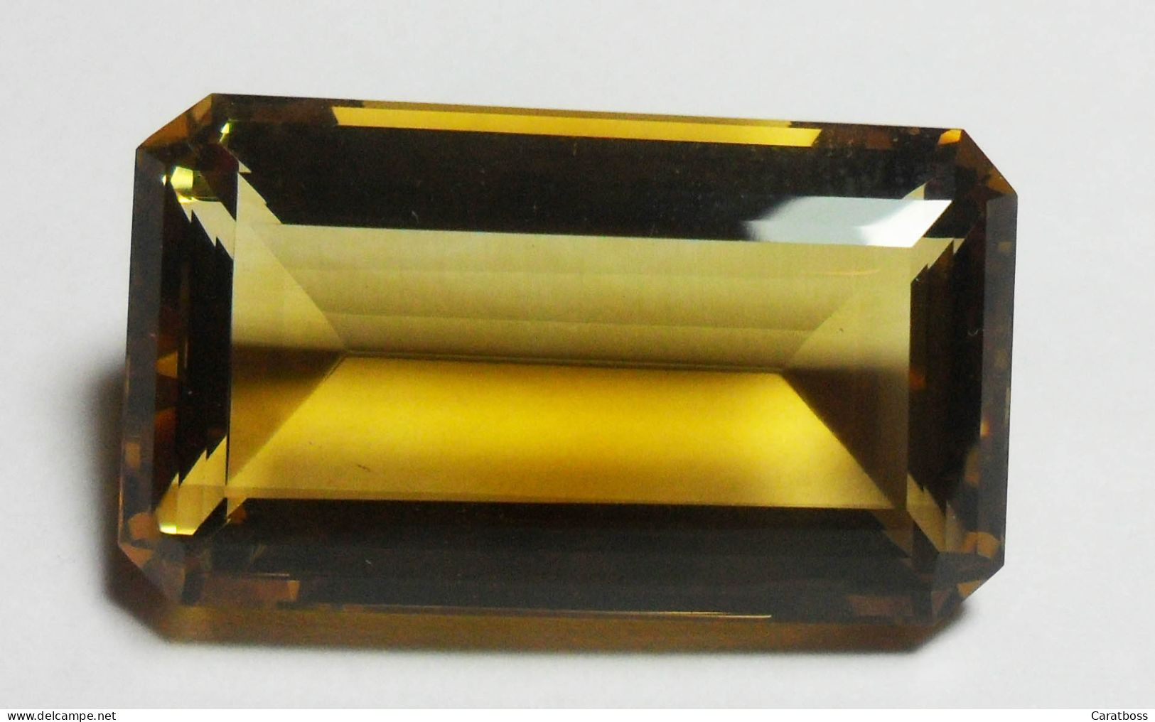 Citrine 48,80 Carats - Andere & Zonder Classificatie