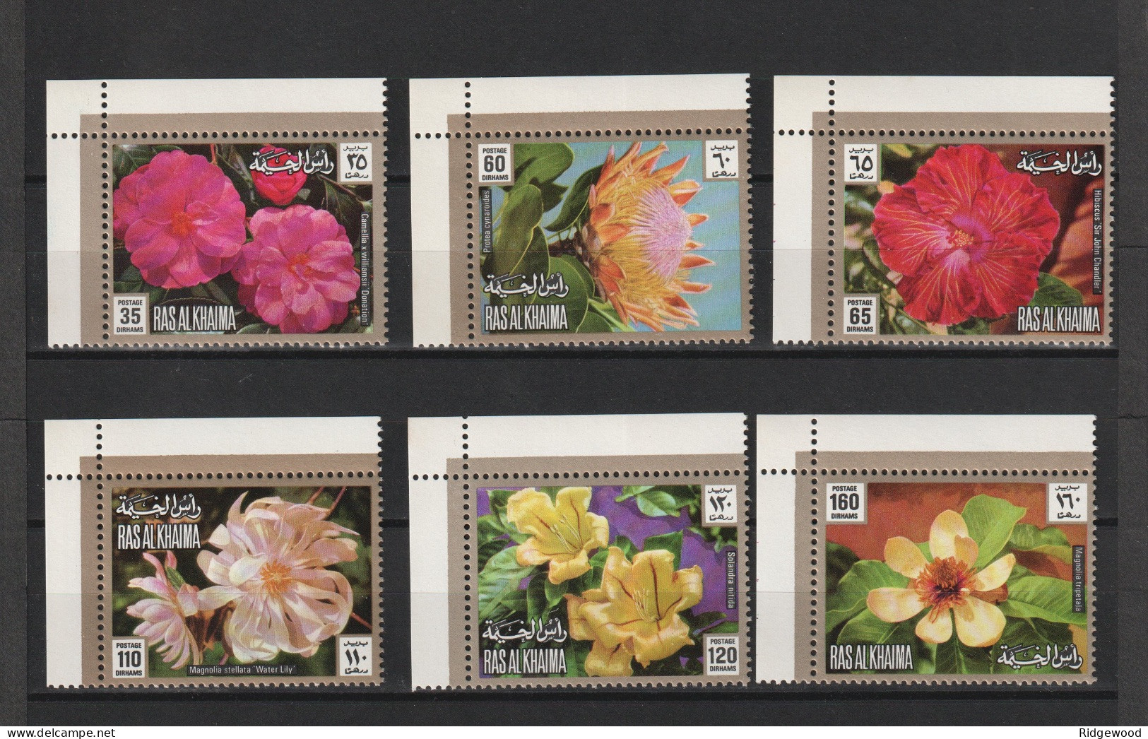 1972  Ras Al Khaima - Flowers - Corner Marginal Set   Mi 859A - 864A - Perf - MNH - Ra's Al-Chaima