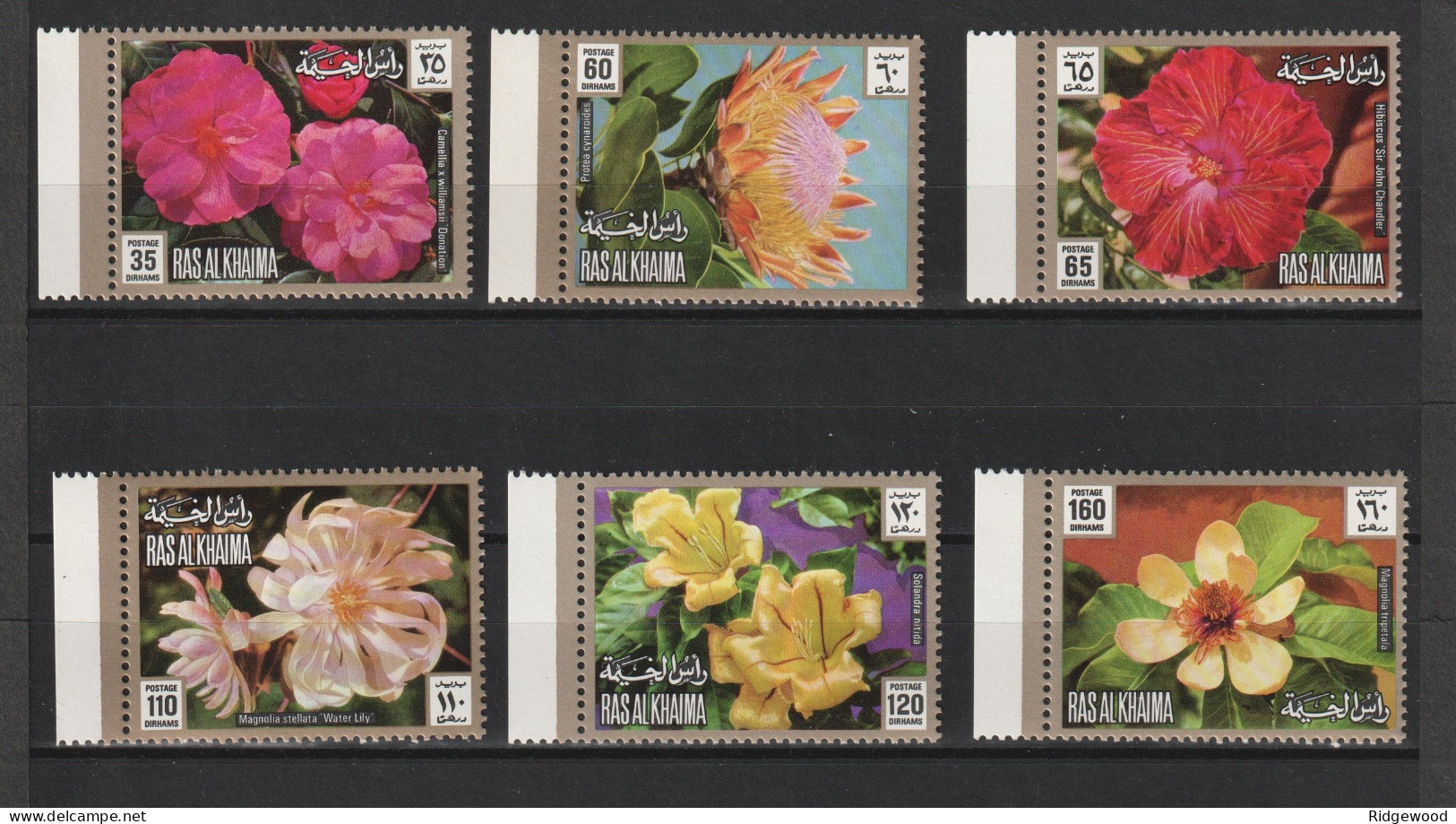 1972  Ras Al Khaima - Flowers - Corner Marginal Set   Mi 859A - 864A - Perf - MNH - Ra's Al-Chaima