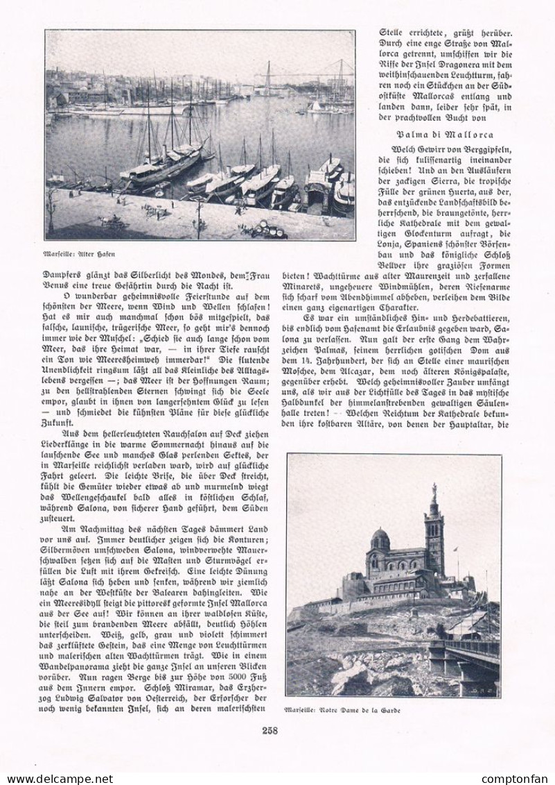 A102 1466-3 Thea Kaiser Kanarischen Inseln Teneriffa Artikel 1907 - Altri & Non Classificati