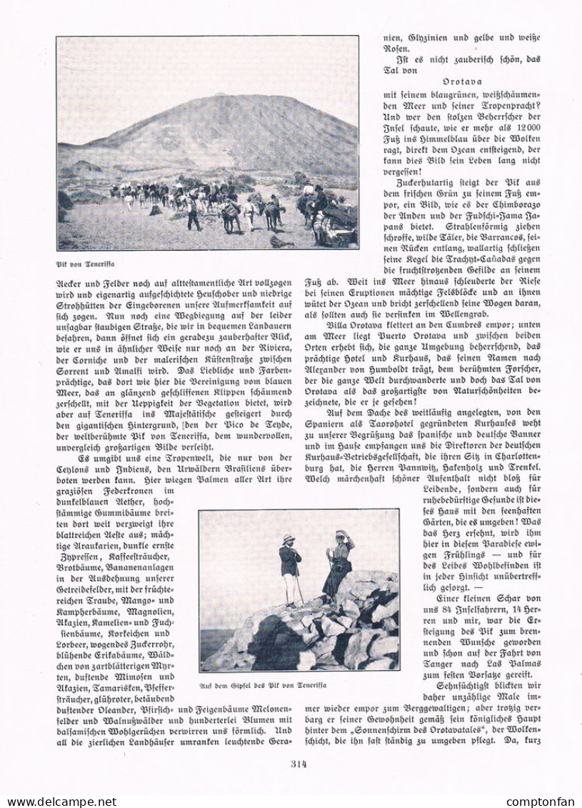 A102 1466-3 Thea Kaiser Kanarischen Inseln Teneriffa Artikel 1907 - Autres & Non Classés