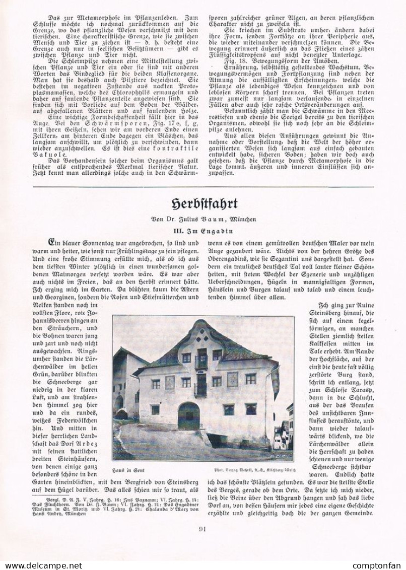 A102 1471-3 Julius Baum Herbstfahrt Engadin Tarasp Sent Artikel 1907 - Autres & Non Classés