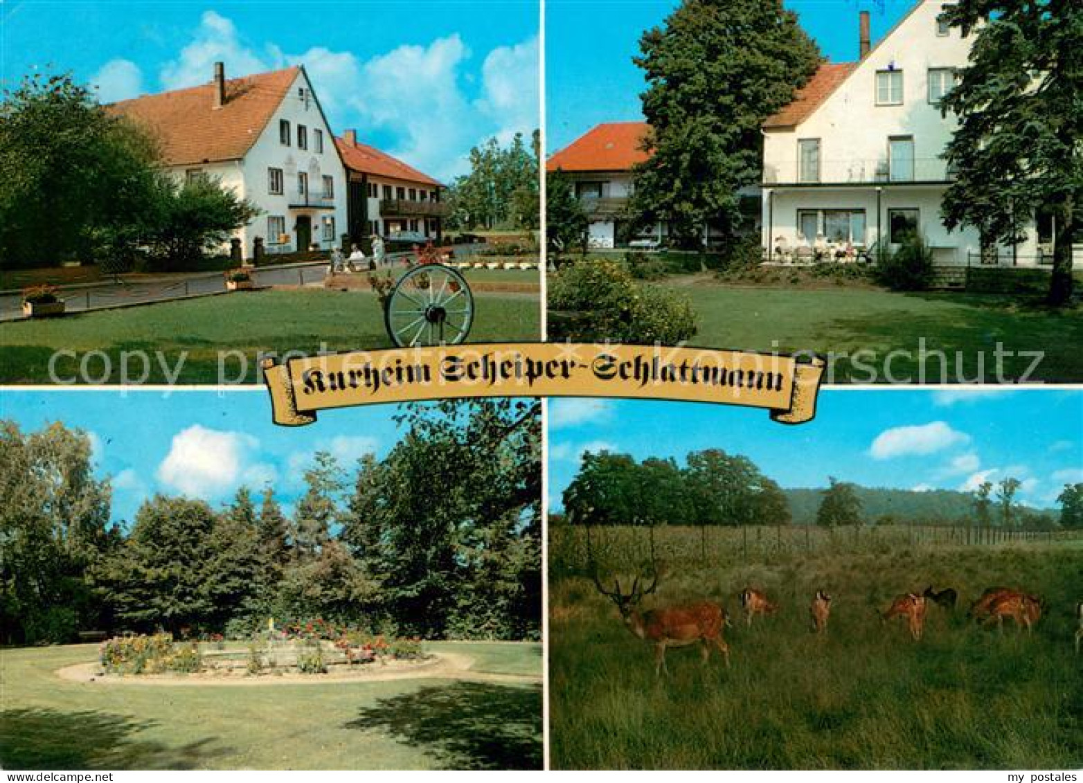 73641926 Bad Laer Kurheim Scheiper Schlattmann Park Wildgehege Bad Laer - Bad Laer