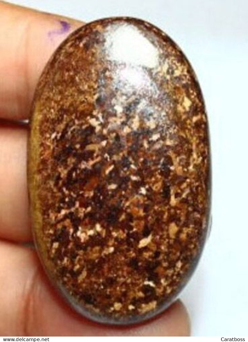 Bronzite 71,0 Carats - Sonstige & Ohne Zuordnung