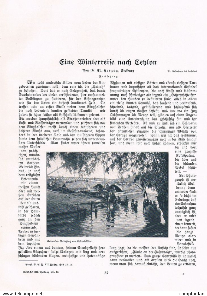 A102 1477 Theodor Herzog Ceylon Sri Lanka Indischer Ozean Artikel 1907 - Autres & Non Classés