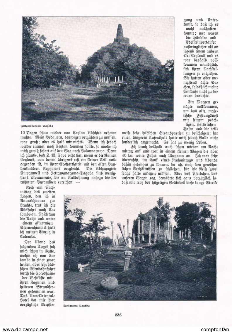 A102 1477 Theodor Herzog Ceylon Sri Lanka Indischer Ozean Artikel 1907