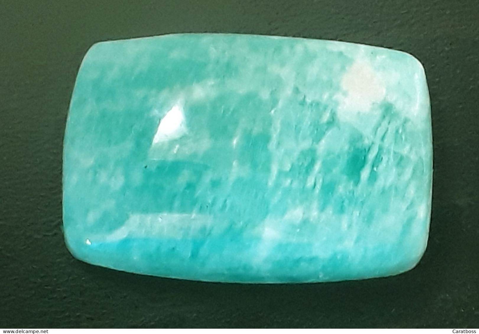 Amazonite 15,59 Carats - Other & Unclassified
