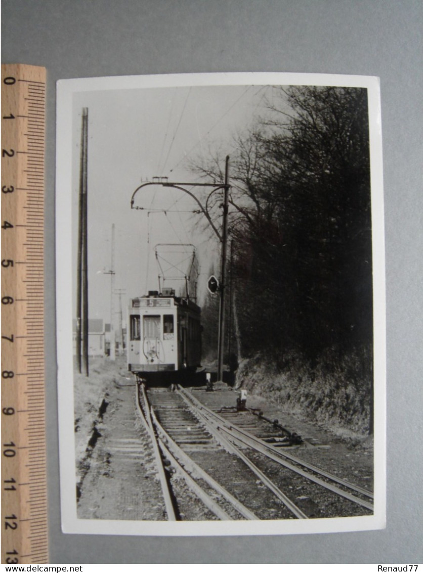 Photo - Quaregnon - Lieu à Identifié - Tram - Tramway - Ligne 5 - Quaregnon