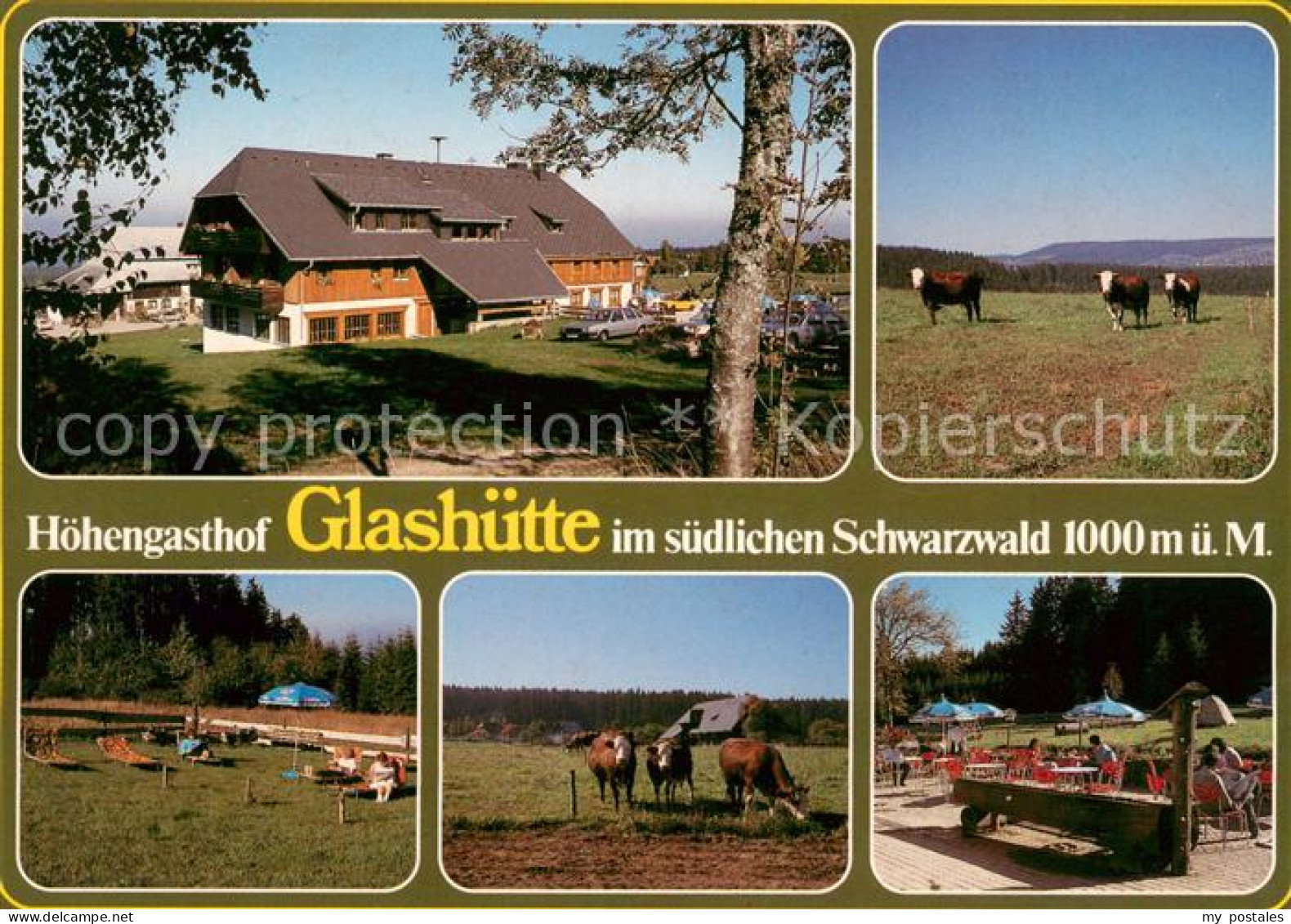 73635220 Glashuette Bonndorf Hoehengasthof Suedlicher Schwarzwald Viehweide Kueh - Bonndorf