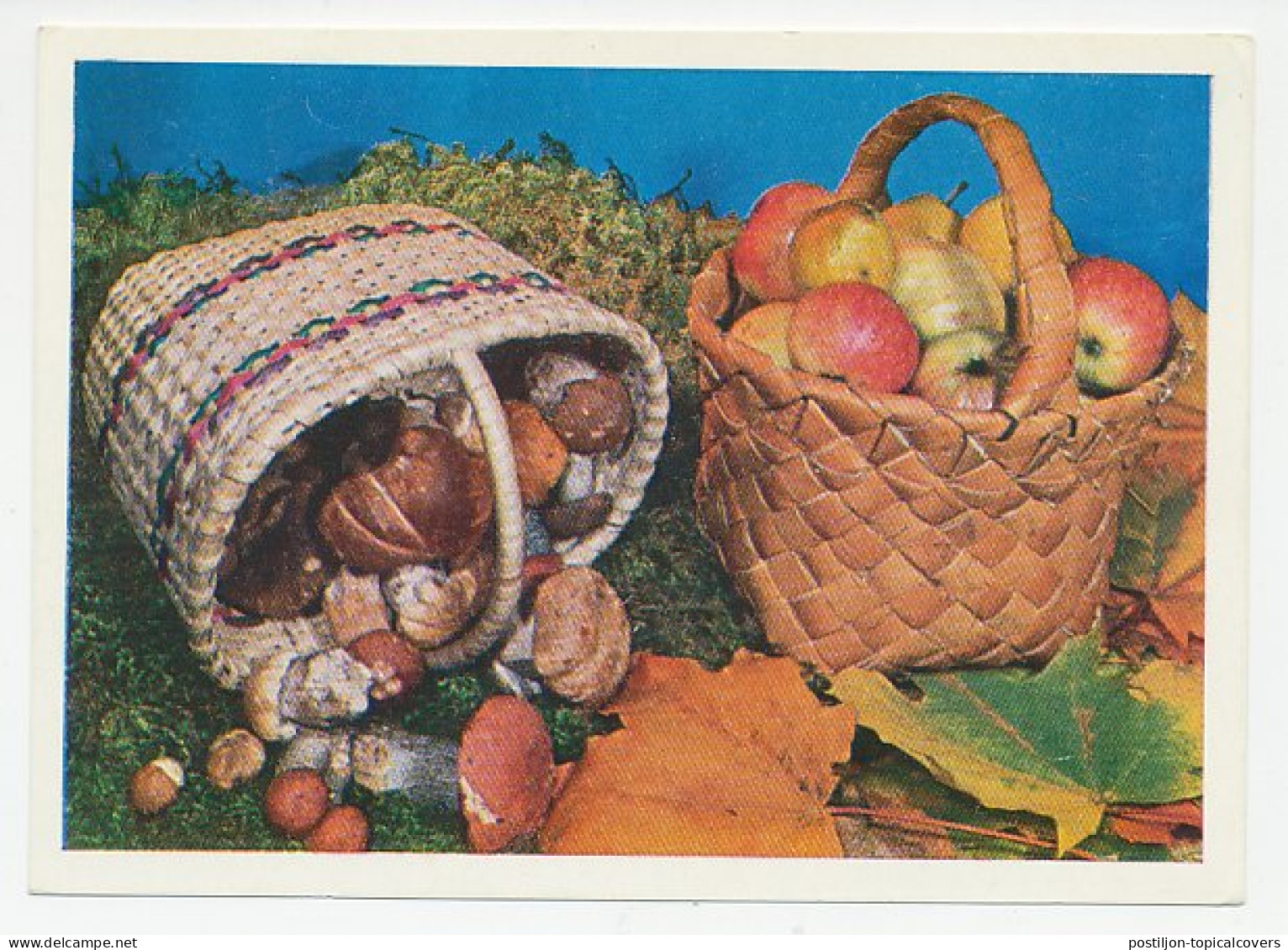 Postal Stationery Soviet Union 1979 Mushroom - Fruit - Apple - Pilze