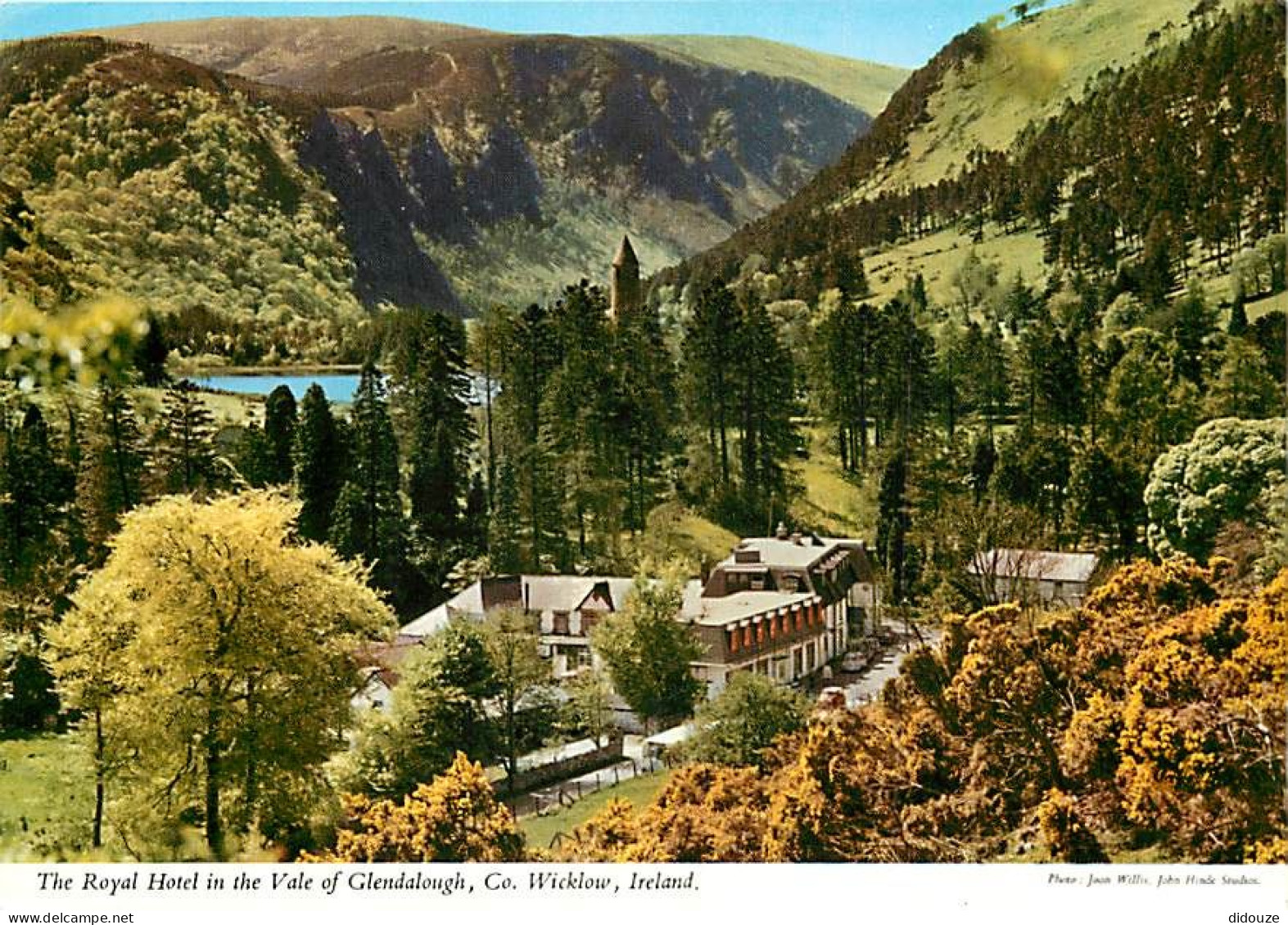Irlande - Wicklow - The Royal Hotel In The Vale Of Glendalough - Ireland - CPM - Voir Scans Recto-Verso - Wicklow
