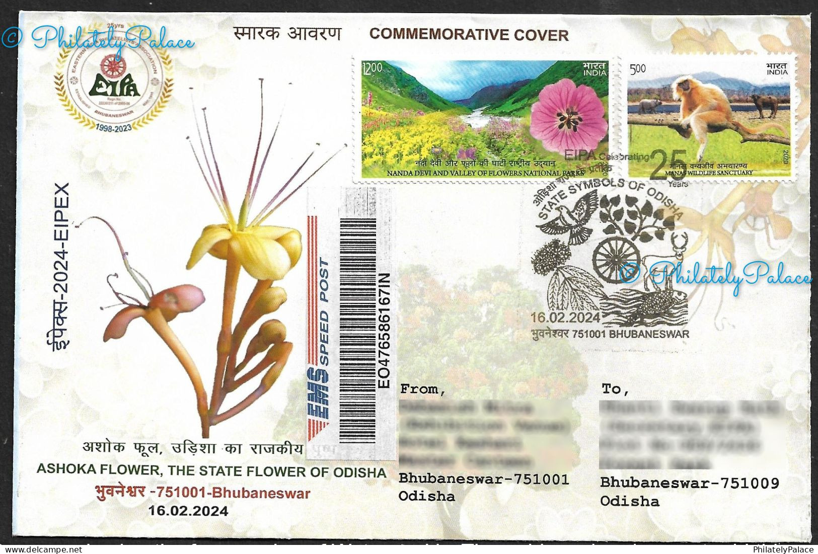 India 2024 Ashoka Flower,Indian Roller,Bird,Peepal Tree,Fish,Deer,Animal,State Odisha,Registered Cover (**) Inde Indien - Briefe U. Dokumente