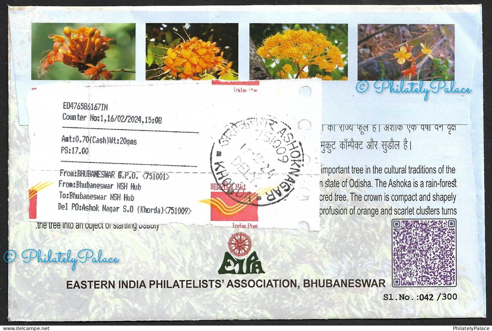 India 2024 Ashoka Flower,Indian Roller,Bird,Peepal Tree,Fish,Deer,Animal,State Odisha,Registered Cover (**) Inde Indien - Briefe U. Dokumente