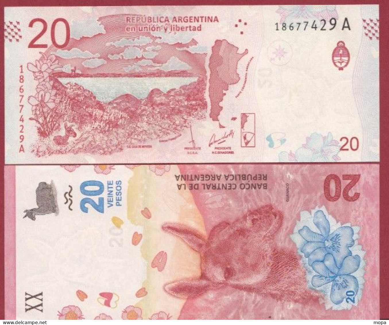 Argentine-- 20 Pesos --2017   ---UNC --(387) - Argentinië