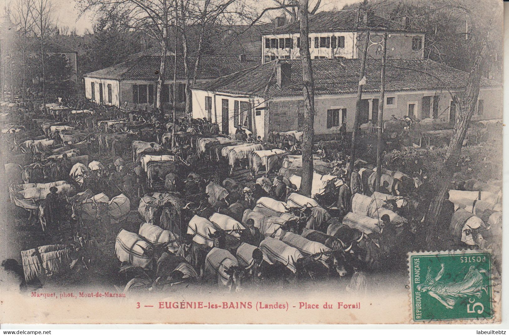 LANDES - EUGENIE LES BAINS - Place Du Foirail - Marché Aux Boeufs - PRIX FIXE - Mercati