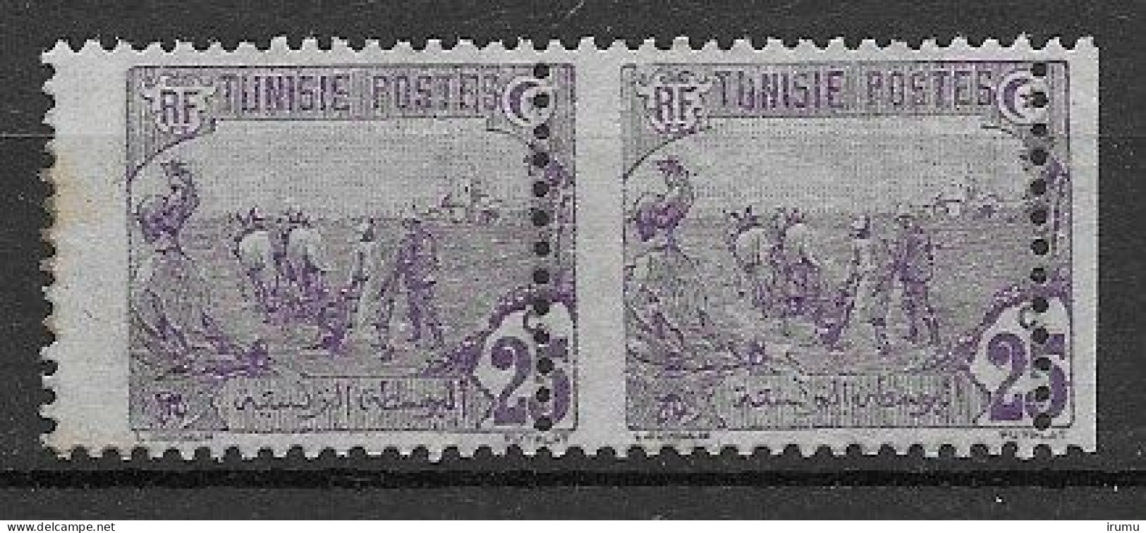 Tunisie Paire Avec Perforation Mal Placé (SN 2712) - Guinea Española