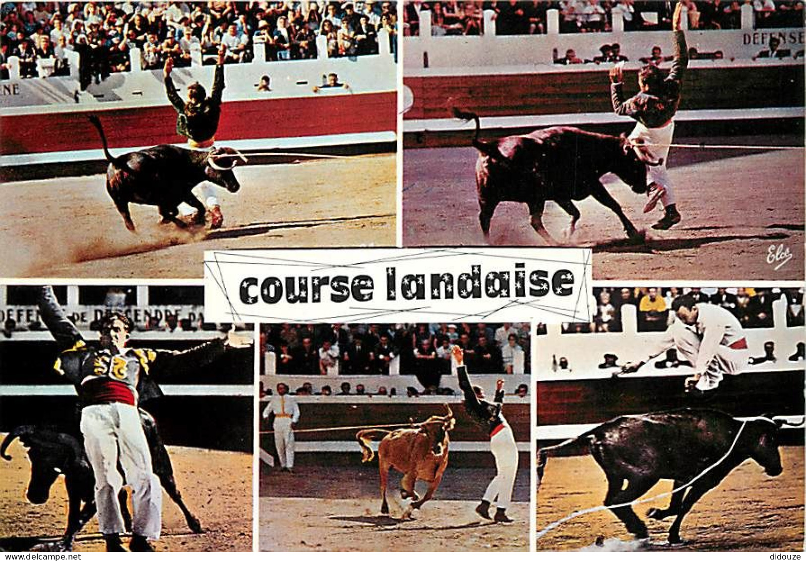 Corrida - La Course Landaise - Multivues - Carte Neuve - CPM - Voir Scans Recto-Verso - Corridas