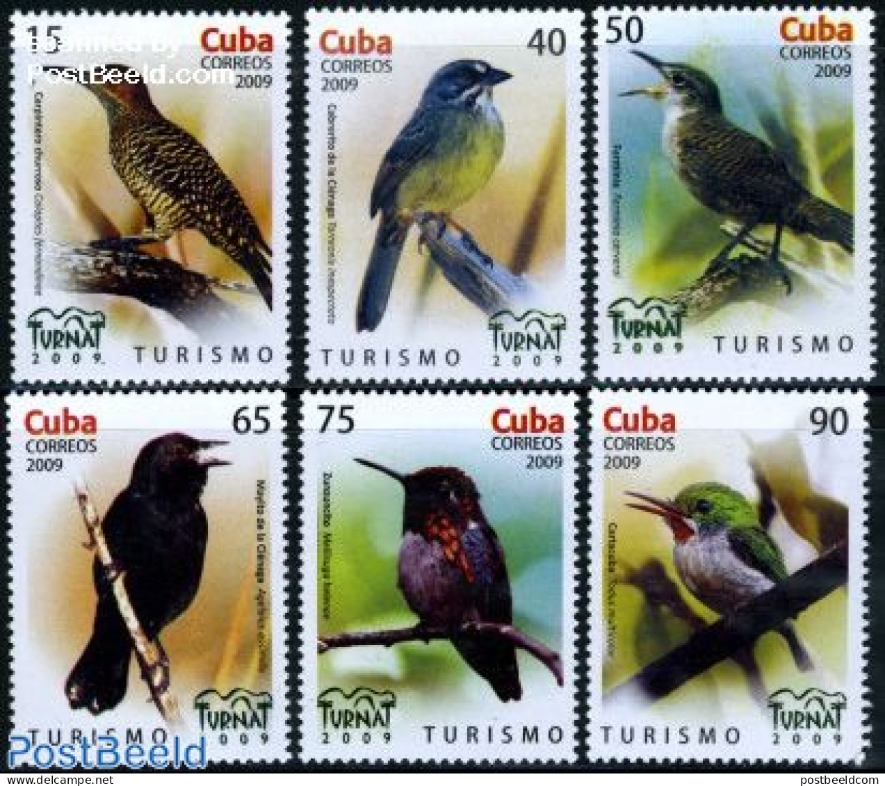 Cuba 2009 Turnat, Birds 6v, Mint NH, Nature - Birds - Unused Stamps