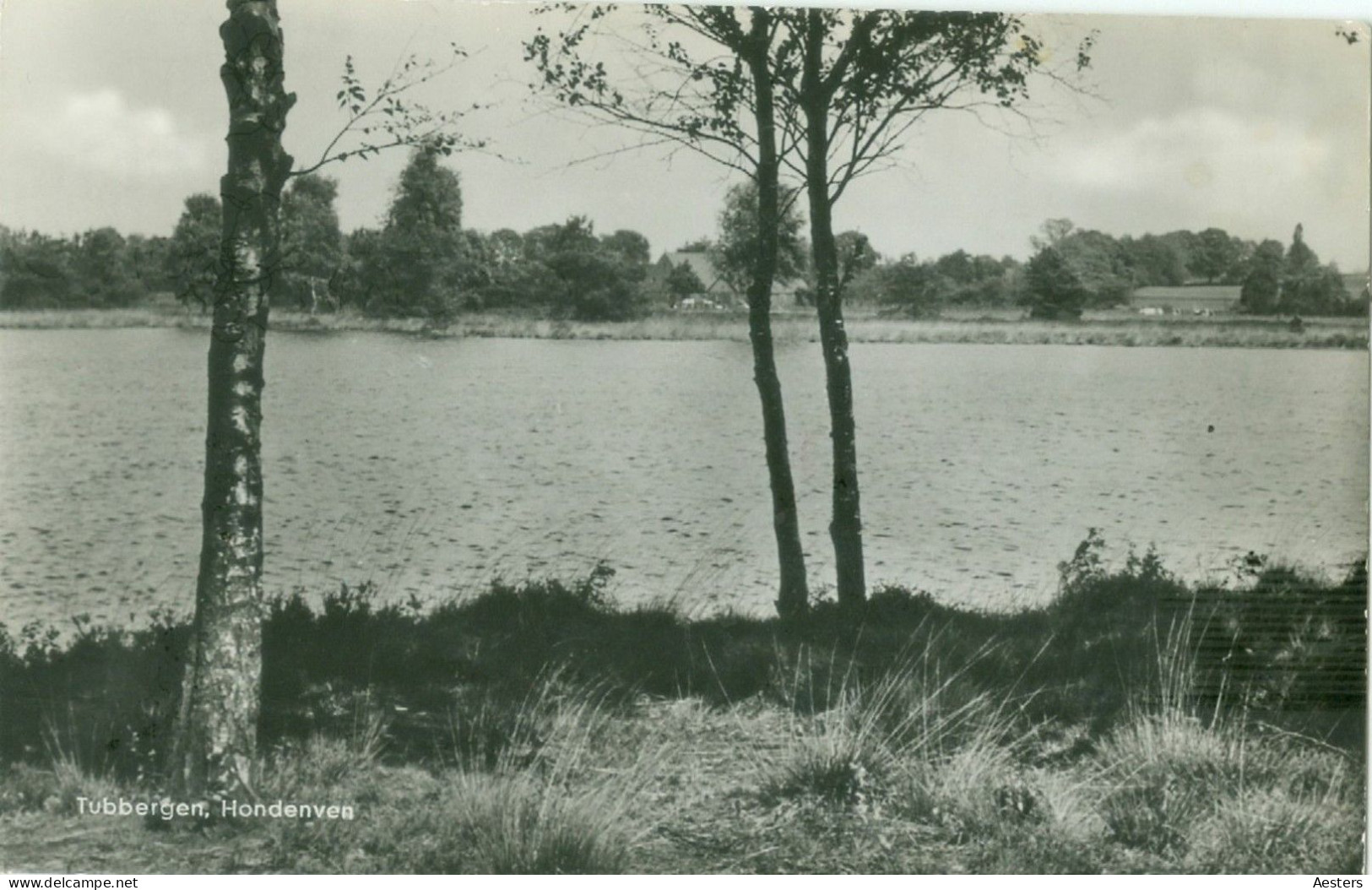 Tubbergen 1963; Hondenven - Gelopen. (Kemperink - Tubbergen) - Tubbergen