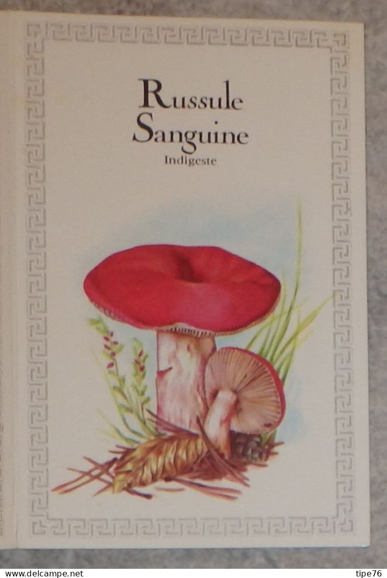 Petit Calendrier De Poche 1983 Champignon Russule Sanguine Pharmacie Montluçon Allier - Création Engelhard - Small : 1981-90