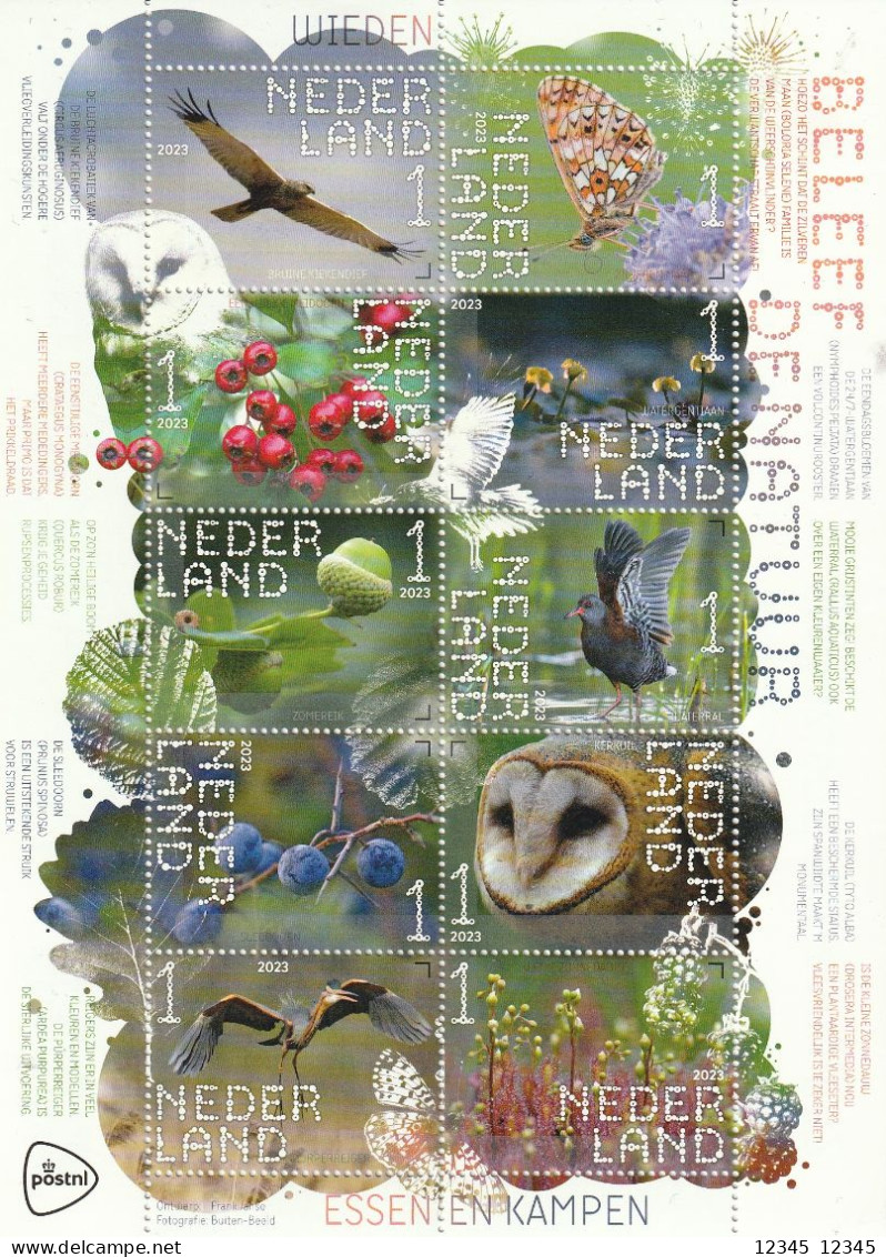 Nederland 2023, Postfris MNH, Wieden, Birds, Owls, Butterflies, Flowers, Berries - Bangladesh