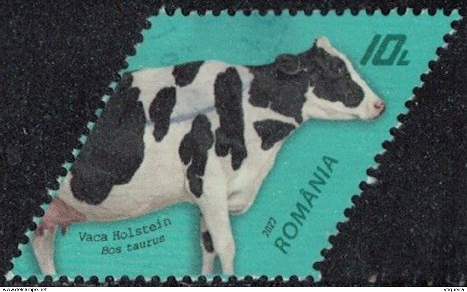 Roumanie 2022 Oblitéré Used Vache Holstein Race Bovine Y&T RO 6697 SU - Gebruikt