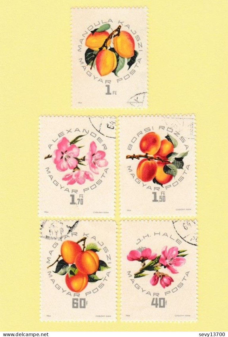 Hongrie  - Magyar Posta - Lot de 41 timbres -  20 timbres les oiseaux 21 timbres les fleurs