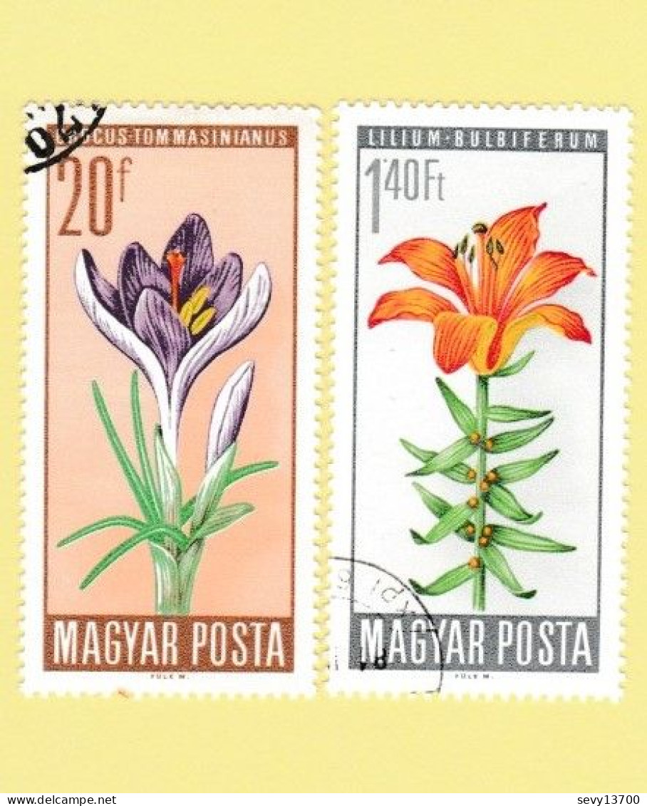 Hongrie  - Magyar Posta - Lot de 41 timbres -  20 timbres les oiseaux 21 timbres les fleurs