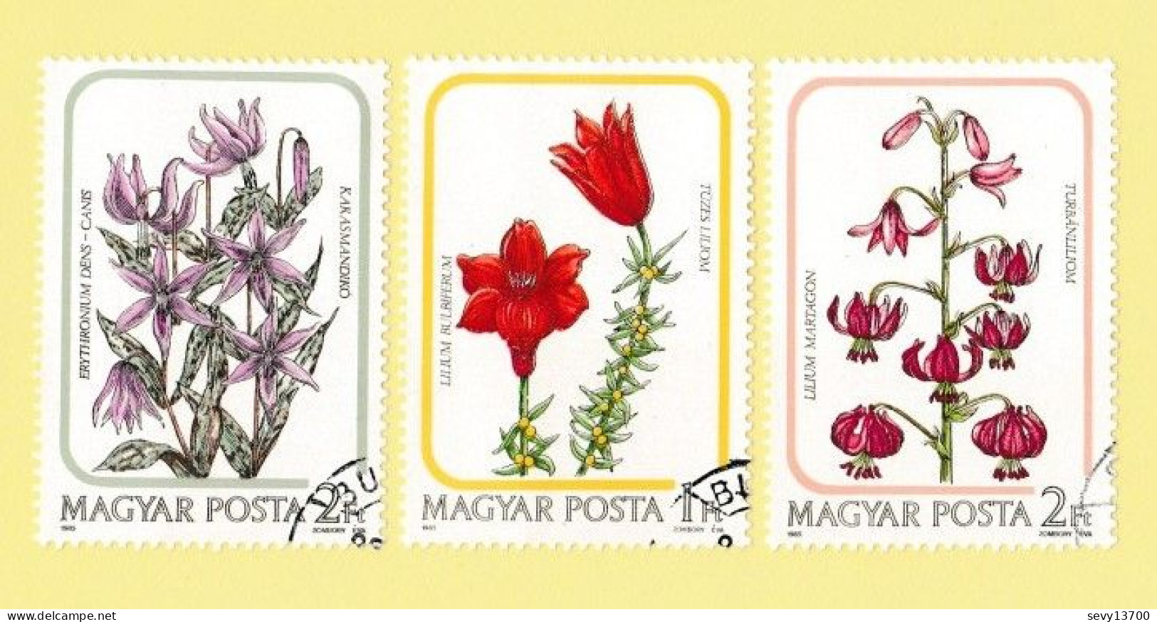 Hongrie  - Magyar Posta - Lot de 41 timbres -  20 timbres les oiseaux 21 timbres les fleurs