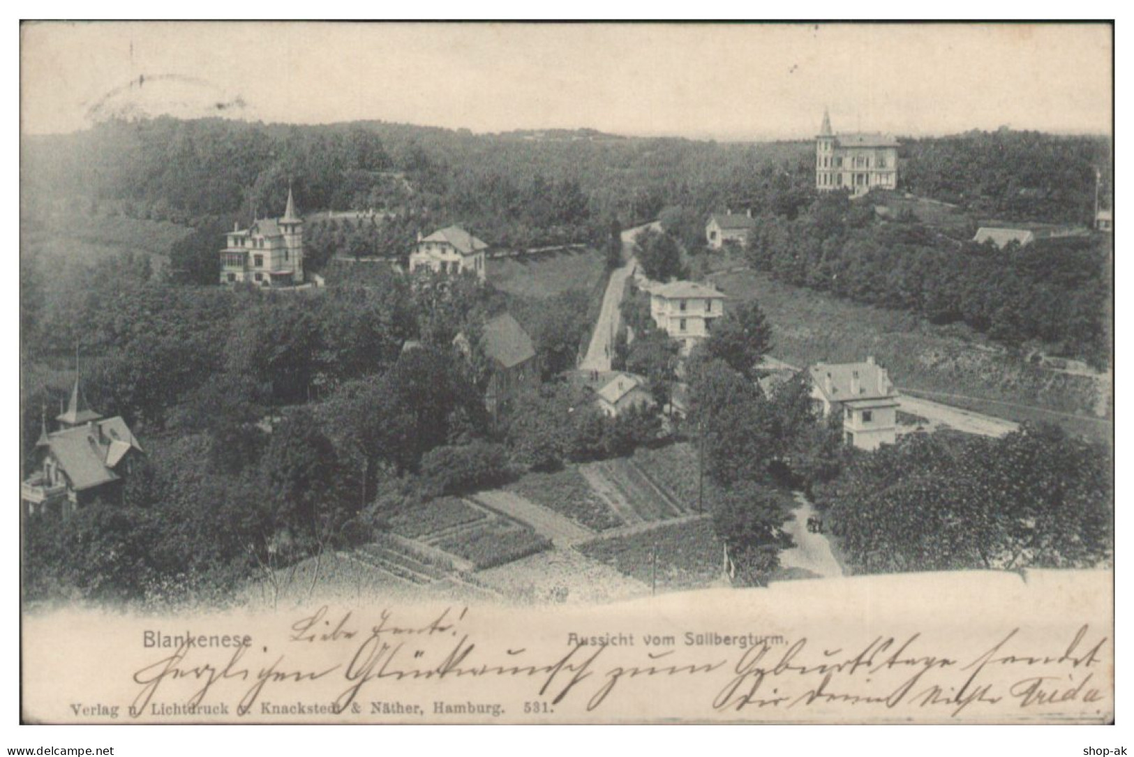 V5947/ Hamburg Blankenese Aussicht Vom Süllbergturm AK 1902 - Blankenese