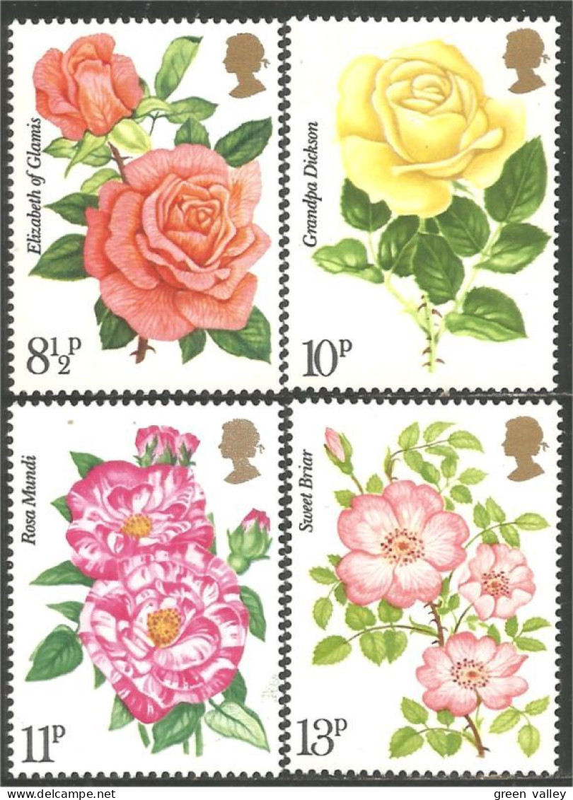 422 G-B 1976 Fleurs Roses Rosen Flowers MNH ** Neuf SC (GB-786) - Roses