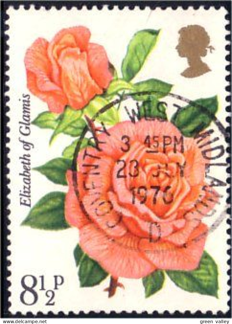 410 G-B Rose Coventry Cancel (GB-131) - Roses