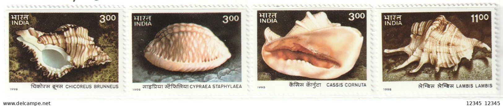 India 1998, Postfris MNH, Shells - Nuovi