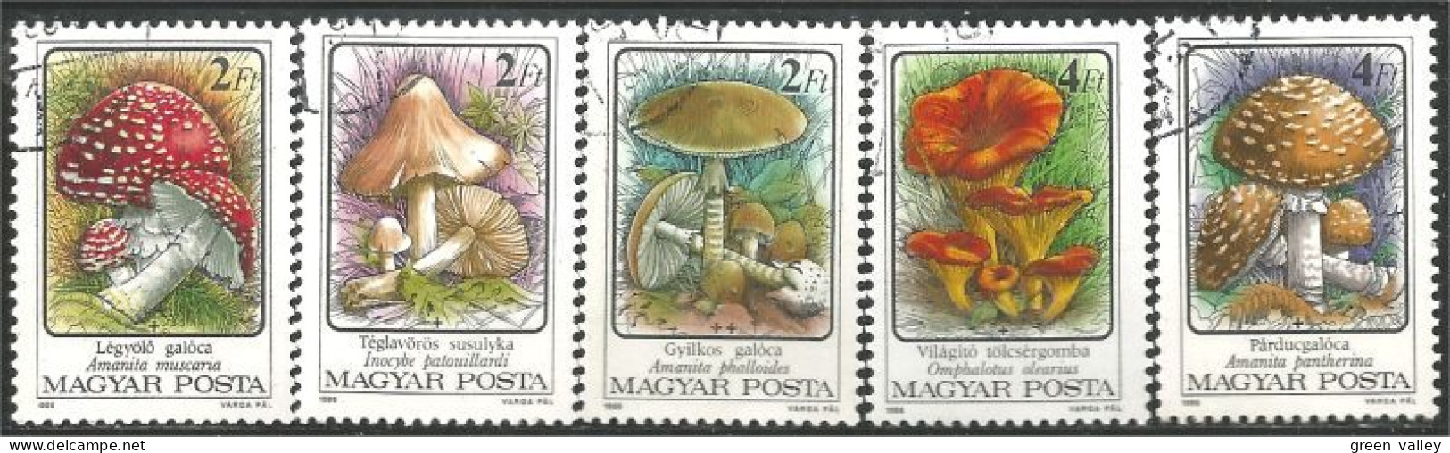 494 Hongrie Champignon Mushroom Pilz Paddestoel Fungo (HON-174a) - Used Stamps