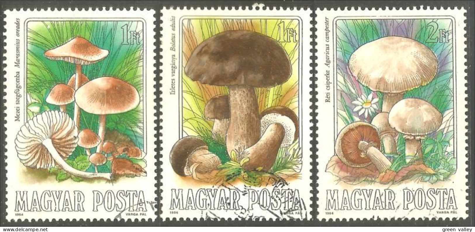 494 Hongrie Champignon Mushroom Pilz Paddestoel Fungo (HON-162) - Used Stamps